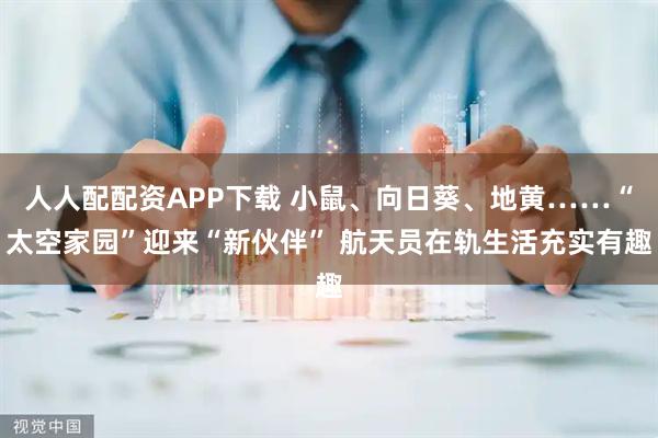 人人配配资APP下载 小鼠、向日葵、地黄……“太空家园”迎来“新伙伴” 航天员在轨生活充实有趣